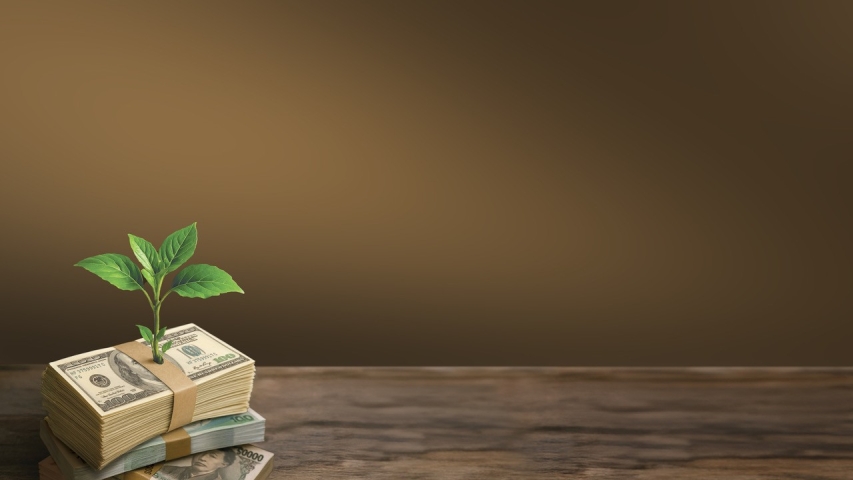 Social Re-Use of Seized and Confiscated Assets: Good Policies and Practices