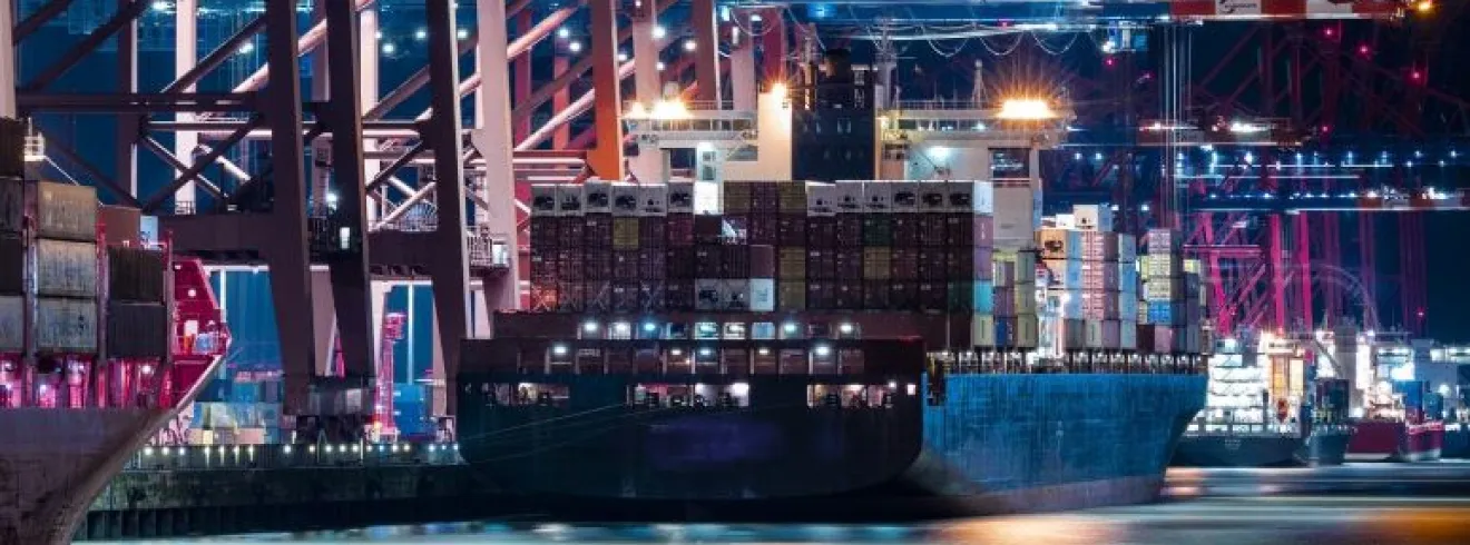 Winter School on Illicit Trade, 23-26 January 2023, Online - Deadline for application: 8 January 2023 Section Banner