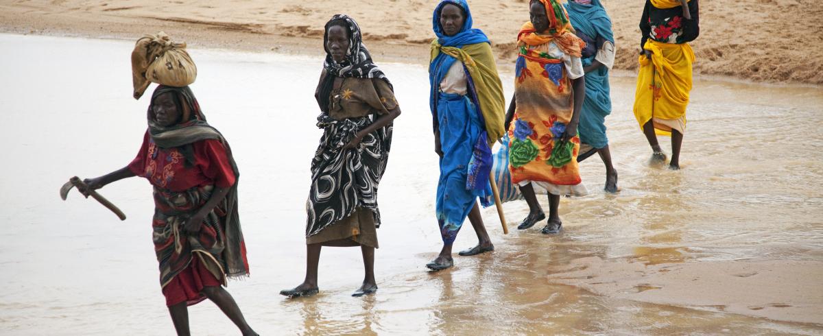 Escorted by Peacekeepers, Sudanese Women IDPs Collect Firewood @UN Photo/Albert González Farran