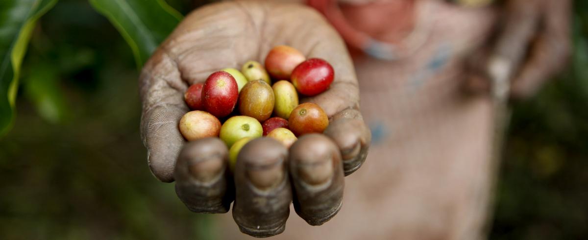 Food security