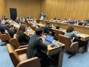IAEA, UNICRI propose cooperation platform on using nuclear techniques to combat illicit trafficking in cultural goods