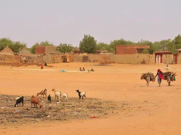 Strengthen National and Regional Approaches to Address Climate-Related Security and Violent Extremism Risks