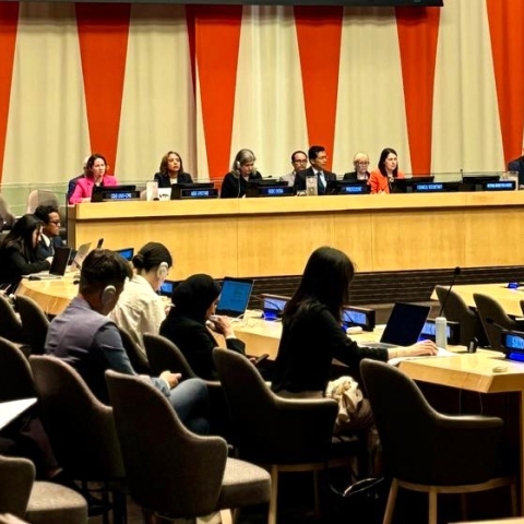 ECOSOC Welcomes the Contributions of UNICRI to the UN System in Crime Prevention and Criminal Justice