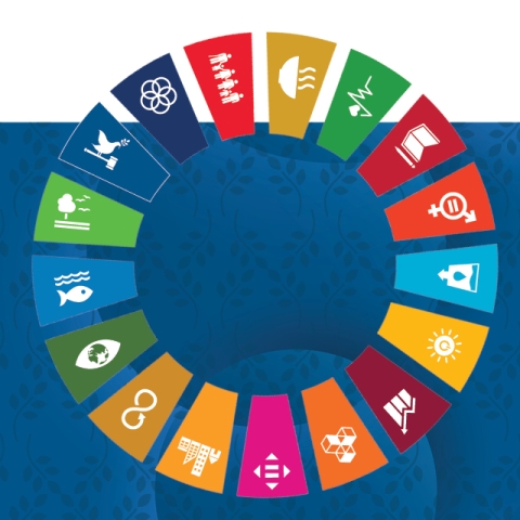 UNICRI's Consultation with Member States
