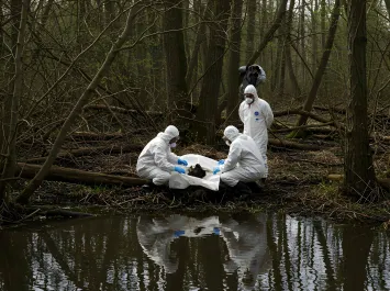 Environmental Crimes