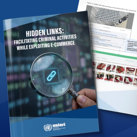 Hidden Links: Facilitating Criminal Activities While Exploiting E-Commerce