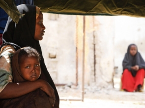 Promoting Rule of Law and Safeguarding Access to Justice