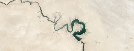 The Impact of Coronavirus on Terrorism in the Sahel