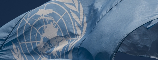 UN Flag