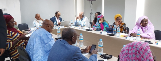 Atelier de renforcement des capacités pour les représentants des organisations de la société civile sur l'intégration d’une perspective de genre dans les initiatives de Prévention de l’Extrémisme Violent