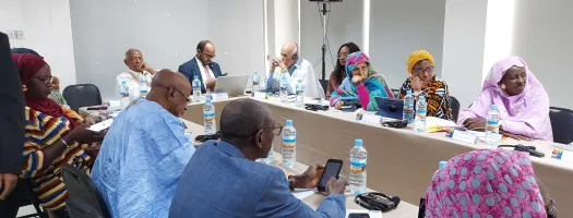 Call for Expression of Interest: Capacity-Building Workshop for NGOs on Integration of a Gender Perspective into Violent Extremism Prevention