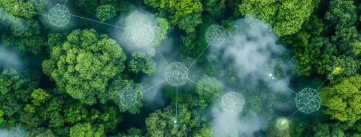 Winter School on Environmental Crimes