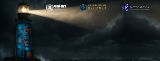 Exposing Environmental Crimes: Online Training for Journalists and Communication Professionals