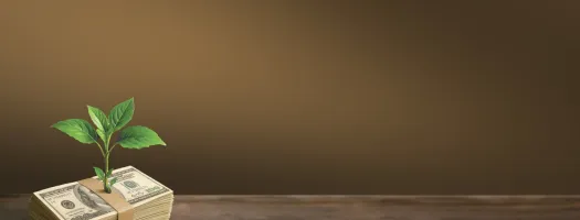 Social Re-Use of Seized and Confiscated Assets: Good Policies and Practices