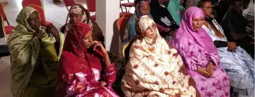 UNICRI strengthens local capacities to address climate security and violent extremism risks in Mauritania
