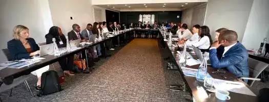 UNICRI and OECD brought together producing and importing countries to strengthen mineral traceability and tackle minerals crime