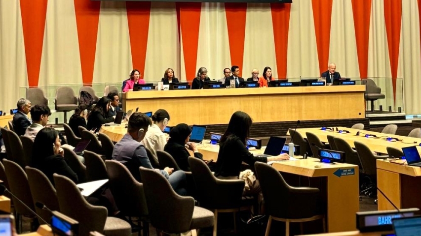 ECOSOC Welcomes the Contributions of UNICRI to the UN System in Crime Prevention and Criminal Justice